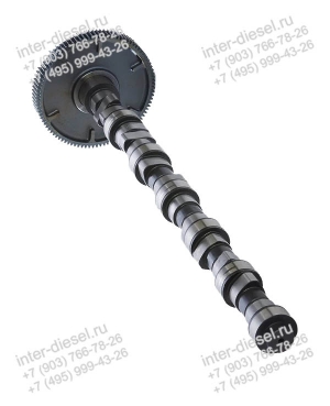 Вал Распределительный (Camshaft) 04909275