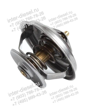 Термостат (Thermostat) 04224847