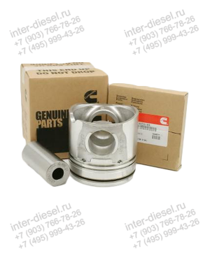Поршень в сборе (Engine Piston Kit)