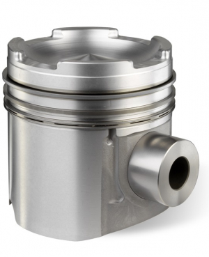 Поршень в сборе с кольцами / PISTON AND RING KIT АРТ: U5PR0062