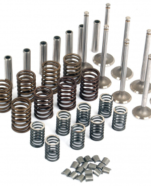 Комплект переборки головки блока / Perkins Valve Train Kit АРТ: PVTK425