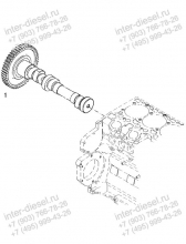 Вал Распределительный (Camshaft) 04909275