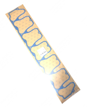 Прокладка клапанной крышки (Gasket) 04205894