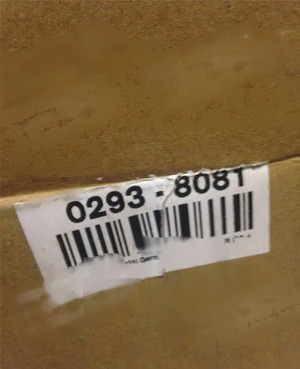 02938081