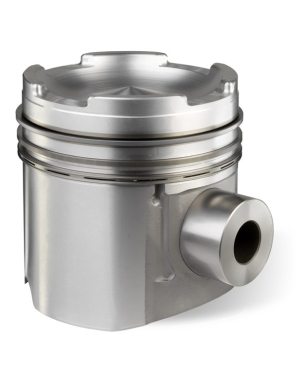 Поршень в сборе с кольцами и пальцем / PISTON AND RING KIT АРТ: 4115P021