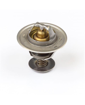 Термостат / THERMOSTAT АРТ: 2485604