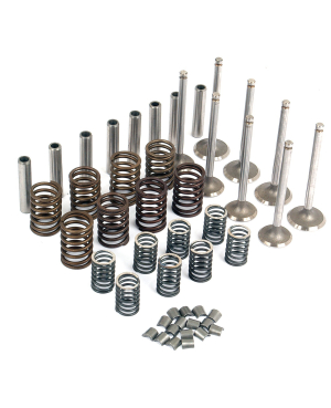Комплект переборки головки блока / Perkins Valve Train Kit АРТ: PVTK442