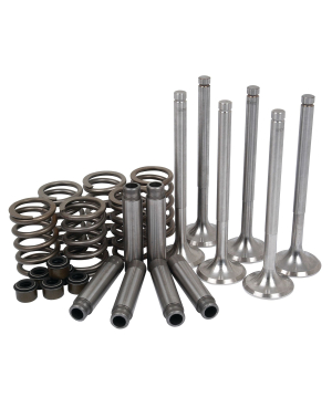Комплект переборки головки блока / Perkins Valve Train Kit АРТ: PVTK310