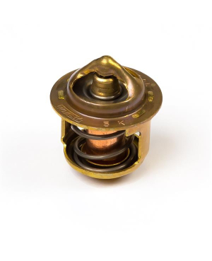 Термостат / THERMOSTAT АРТ: 145206320