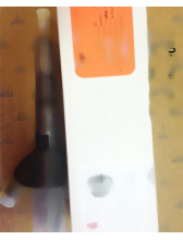 04290986