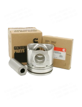 Поршень в сборе (Engine Piston Kit)