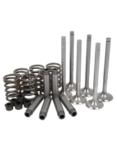 Комплект переборки головки блока / Perkins Valve Train Kit АРТ: PVTK310