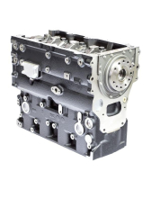 Блок цилиндров / SHORT ENGINE - ASSEMBLY АРТ: NM40020